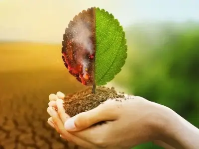Bộ sưu tập hình ảnh ô nhiễm môi trường bạn không nên bỏ qua