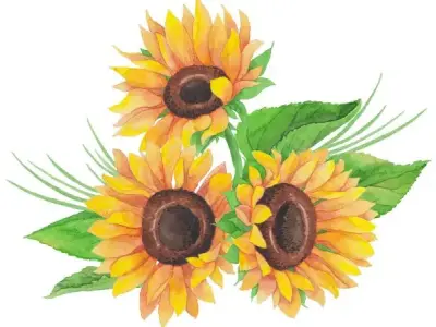 Tuyển chọn 99+ tranh tô màu hoa hướng dương tuyệt đẹp