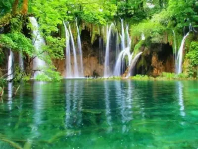 Top 50+ ý tưởng avatar thiên nhiên độc đáo và ấn tượng
