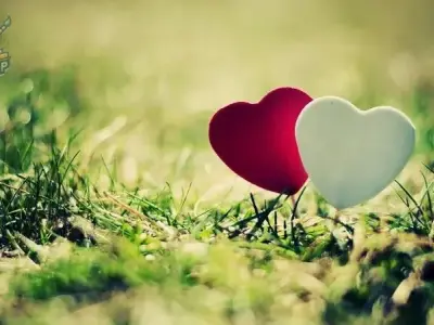 Bộ sưu tập avatar trái tim dễ thương dành cho cặp đôi