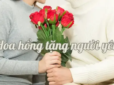 Tổng hợp 50+ ảnh hoa hồng tặng người yêu đẹp và độc đáo nhất