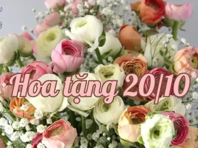 Tổng hợp 50+ ảnh hoa tặng 20/10 đẹp và ý nghĩa nhất