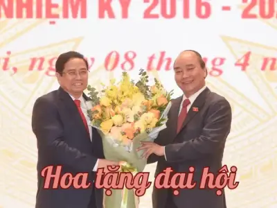 Tổng hợp 55+ ảnh hoa tặng đại hội miễn phí sắc nét nhất