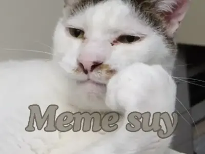 Bộ sưu tập 99+ ảnh meme suy độc lạ nhất mạng xã hội