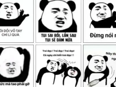 Bộ sưu tập meme nổi tiếng - Những hình ảnh hài hước nhất