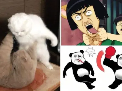 Tổng hợp ảnh meme đấm hài hước không thể nhịn cười