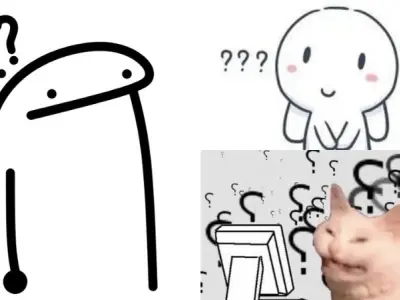 Bộ sưu tập ảnh meme hỏi chấm khiến cư dân mạng phát sốt