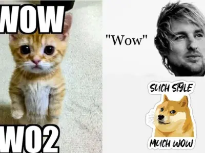 Loạt ảnh meme wow khiến người xem chỉ biết thốt lên wow