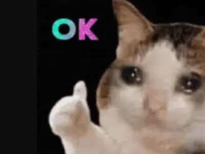 Tổng hợp ok meme bá đạo khiến cư dân mạng thích mê
