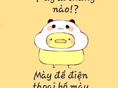 Top hình nền bỏ điện thoại tao xuống siêu chất