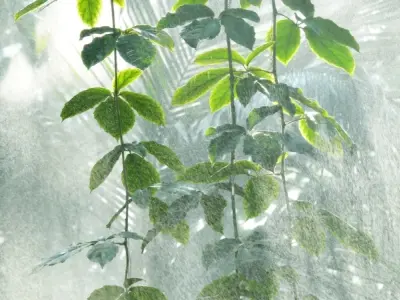 Tổng hợp 99+ hình nền mưa buồn, chill và đẹp nhất