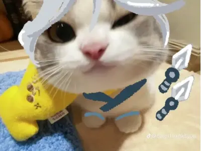 Jett meme - Tổng hợp những khoảnh khắc hài hước nhất Valorant