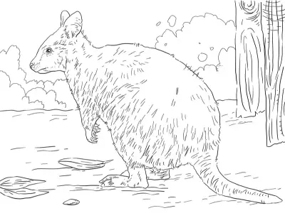 Bộ tranh tô màu Chuột Quokka Chibi - Tải ảnh miễn phí ngay