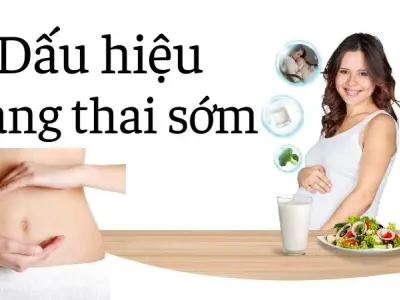 Dấu hiệu mang thai sớm - Những thay đổi cơ thể bạn nên biết