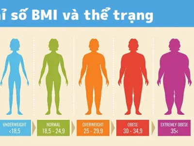 Trải nghiệm cách tính chỉ số BMI online để kiểm soát vóc dáng