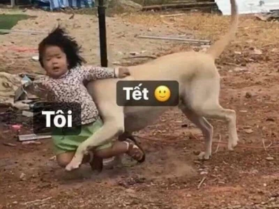 Avatar Meme Tết 2026: Bộ Sưu Tập Ảnh Chế Hài Hước Độc Đáo