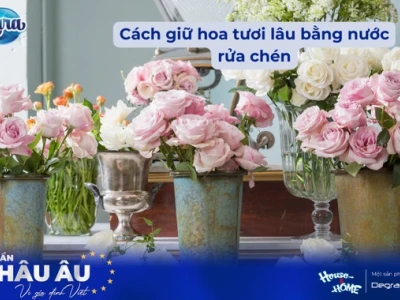 Bí Quyết Đơn Giản: Cách Bỏ Đường Vào Nước Cắm Hoa Giúp Hoa Tươi Lâu Bất Ngờ