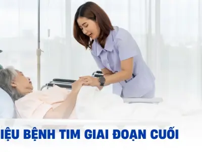 Biểu hiện bệnh tim giai đoạn cuối: Nhận biết sớm dấu hiệu và cách chăm sóc