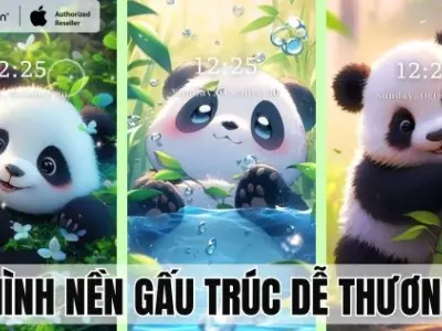 Dễ Thương Gấu Chibi Cute: Tuyển Tập Ảnh Nhìn Là Muốn Tan Chảy