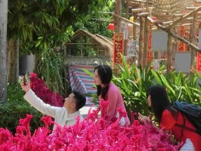 Đường Hoa Quận 7 2026: Khám phá vẻ đẹp Tết ấn tượng