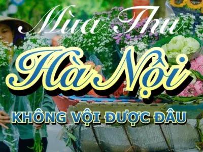 Gánh hoa Hà Nội: Nét đẹp mùa thu lan tỏa và cơ hội kinh doanh thức thời