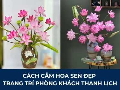 Hướng dẫn chi tiết cách cắm hoa sen đẹp và ý nghĩa theo phong thủy