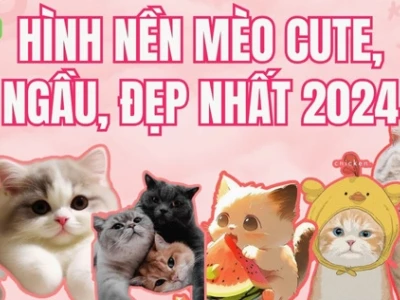 Khám phá bộ sưu tập ảnh mèo cute anime: Tải ngay hình nền độc đáo