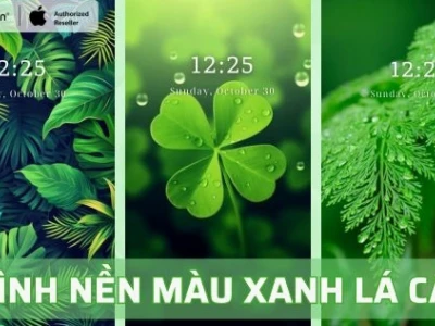 Khám Phá Hình Nền Xanh Lá: Biến Hóa Không Gian Số Của Bạn