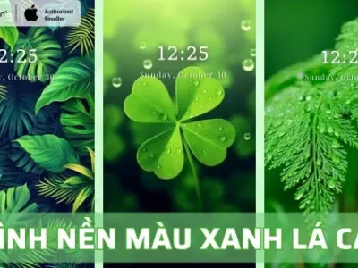 Khám phá vẻ đẹp hình nền màu xanh dương đẹp ấn tượng 2026