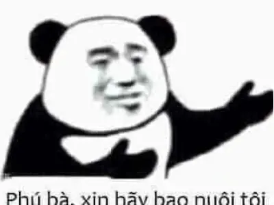 Meme "Phú Bà Nha Đầu Ngốc": Câu Chuyện Gây Ám Ảnh Và Bài Học Đắt Giá