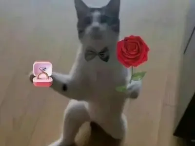 Meme Tặng Hoa: Tuyển Tập Ảnh Chế Hài Hước và Đáng Yêu Nhất 2026