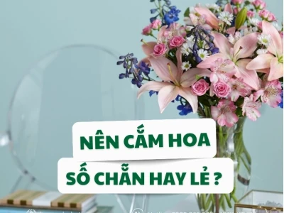 Nên cắm hoa số chẵn hay lẻ: Giải đáp chuẩn phong thủy