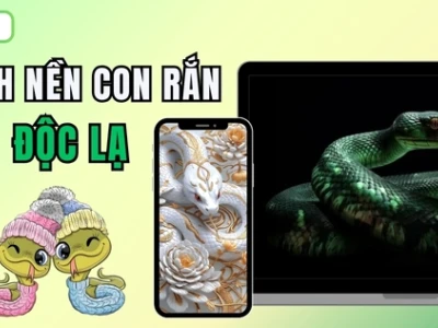 Những hình nền rắn cute "cực chất" cho năm 2026