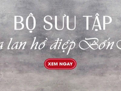 Shop hoa lan hồ điệp TP.HCM: Hướng dẫn chọn và chăm sóc