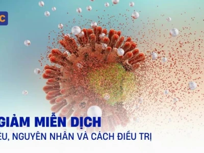 Suy giảm miễn dịch ở người lớn: Nguyên nhân, dấu hiệu và cách tăng cường đề kháng