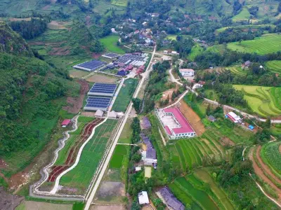 Thung Lũng Hoa Bắc Hà: Thiên Đường Hoa Rực Rỡ Giữa Núi Rừng Tây Bắc 2026