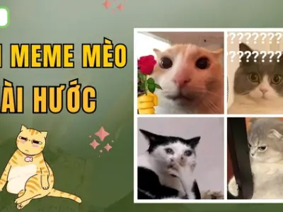 Tuyển tập ảnh meme hài hước và vô tri cho điện thoại 2026