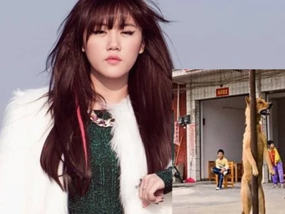 Văn Mai Hương gây tranh cãi khi lên tiếng phản đối thịt chó đóng hộp