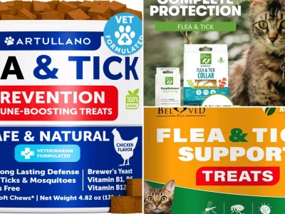 Effective natural flea and tick prevention for cats in 2026