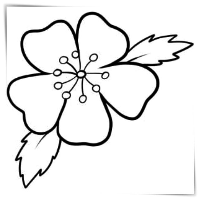 Bộ tranh tô màu bông hoa 5 cánh đơn giản cho bé 4