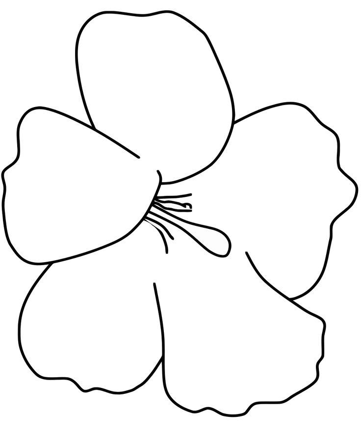 Bộ tranh tô màu bông hoa 5 cánh đơn giản cho bé 15