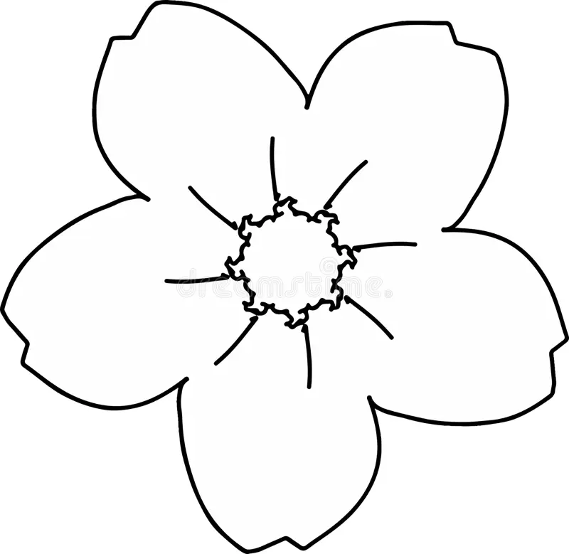 Bộ tranh tô màu bông hoa 5 cánh đơn giản cho bé 17