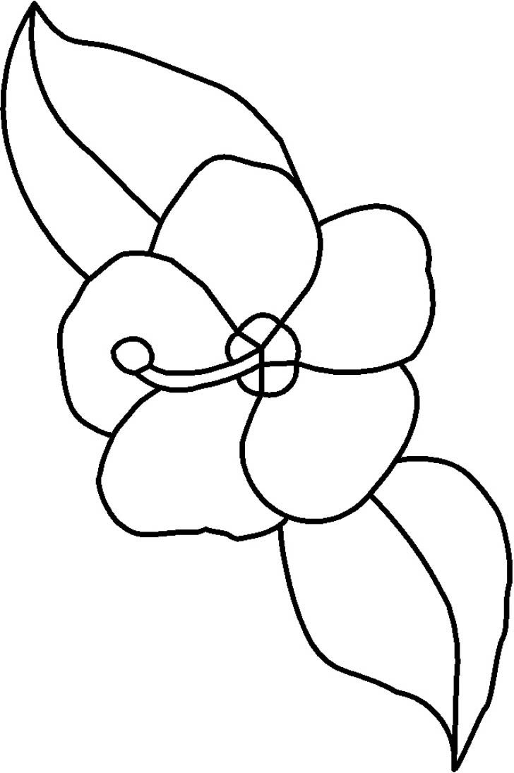 Bộ tranh tô màu bông hoa 5 cánh đơn giản cho bé 18