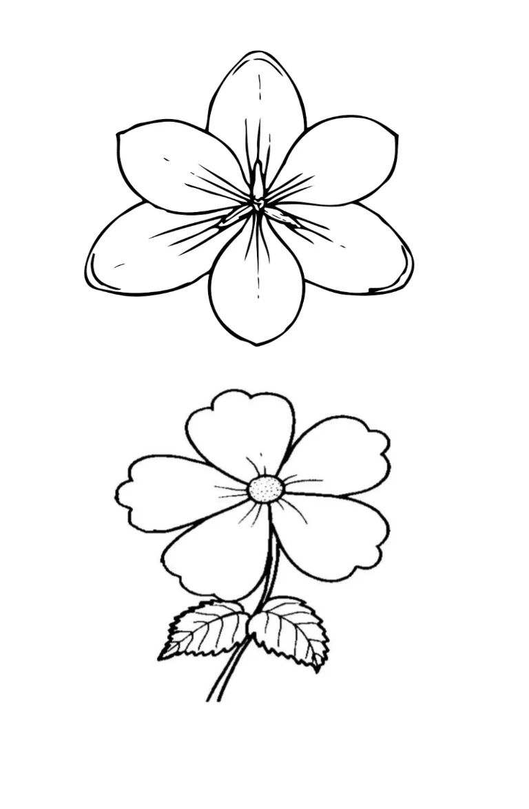 Bộ tranh tô màu bông hoa 5 cánh đơn giản cho bé 32