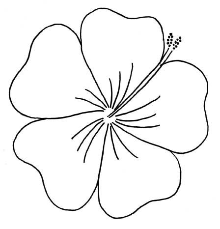 Bộ tranh tô màu bông hoa 5 cánh đơn giản cho bé 33