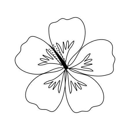 Bộ tranh tô màu bông hoa 5 cánh đơn giản cho bé 47