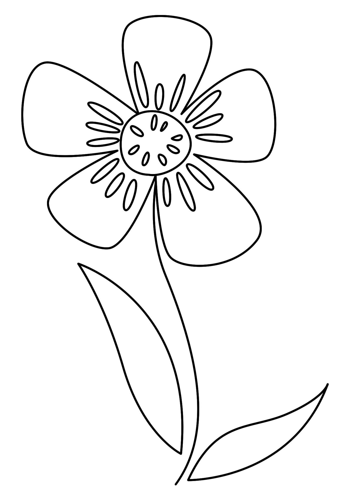Bộ tranh tô màu bông hoa 5 cánh đơn giản cho bé 51