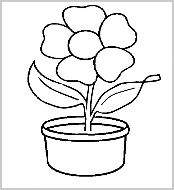 Bộ tranh tô màu bông hoa 5 cánh đơn giản cho bé 56