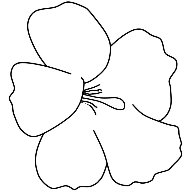 Bộ tranh tô màu bông hoa 5 cánh đơn giản cho bé 58