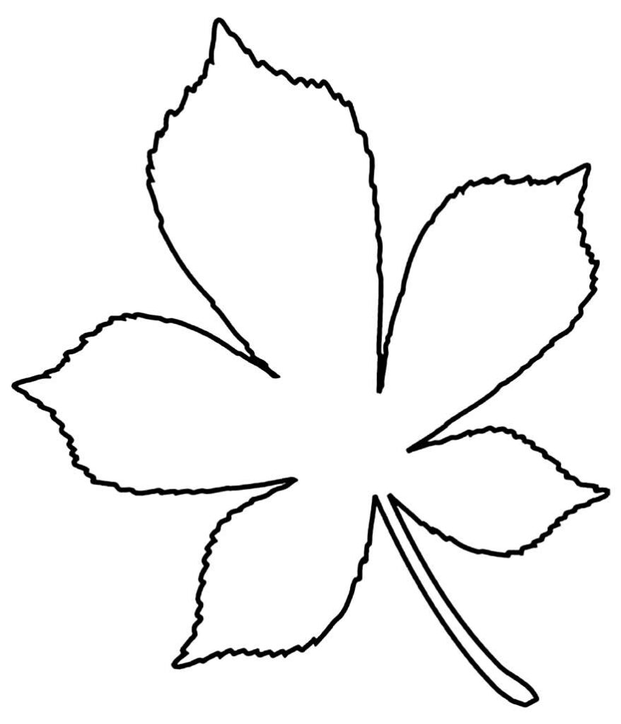 Bộ tranh tô màu bông hoa 5 cánh đơn giản cho bé 61